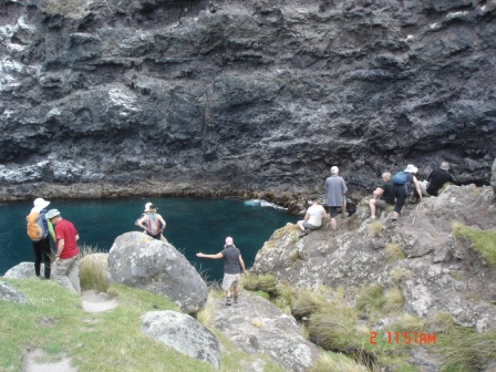 Peering at seals